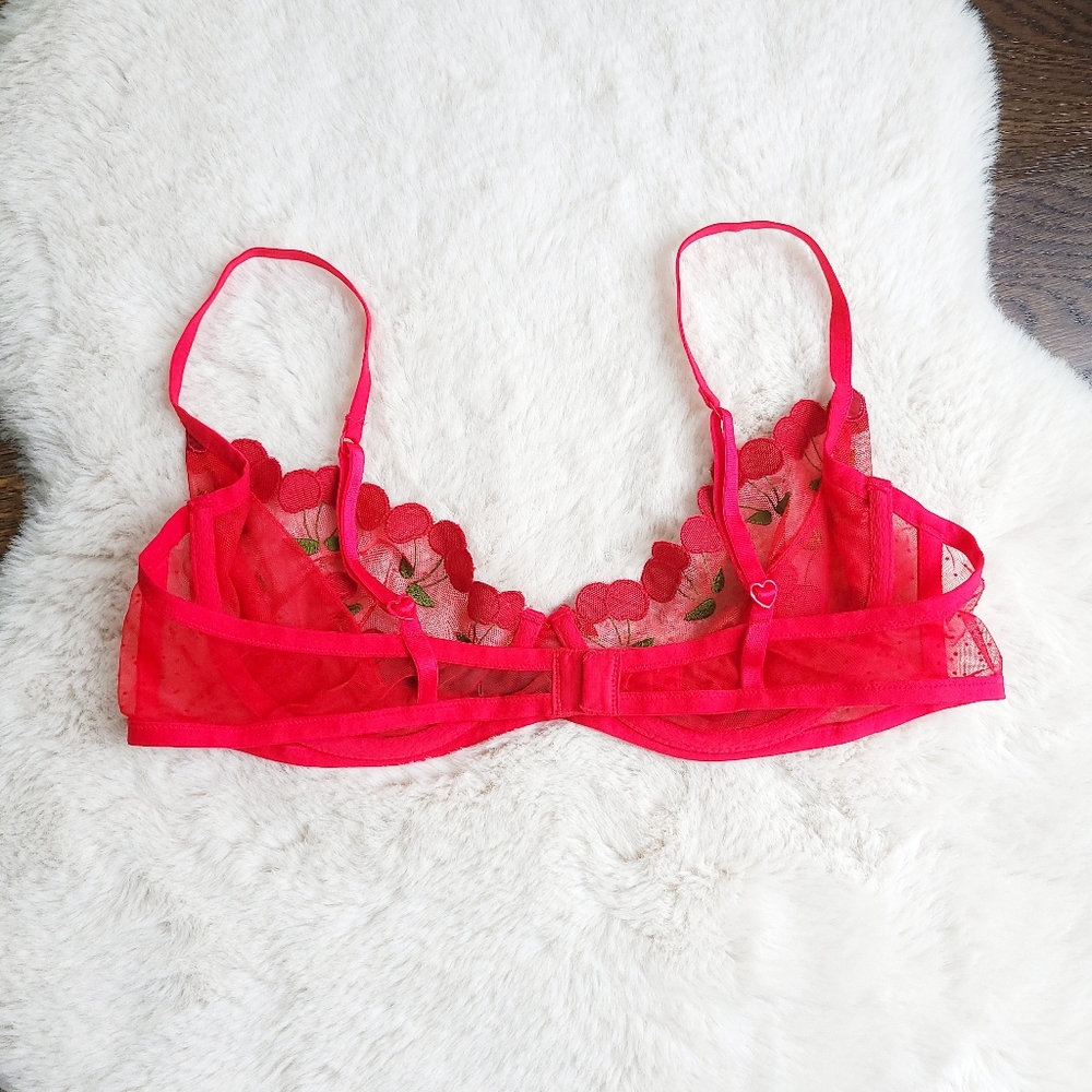 For Love & Lemons Cerise Cherry Embroidered Mesh Bra - Picture 7 of 10